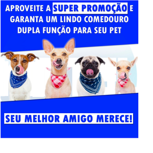 Pet Bebedouro Automático  Garrafa Comedouro Duplo Anti Formigas